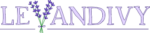 Levandivy – levanduľové pole